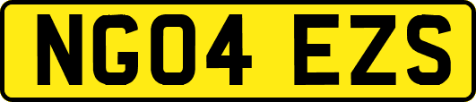 NG04EZS