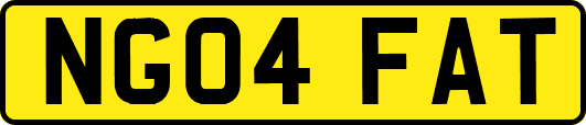 NG04FAT