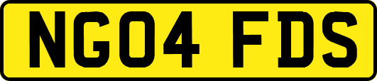 NG04FDS