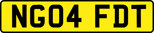 NG04FDT