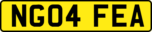 NG04FEA