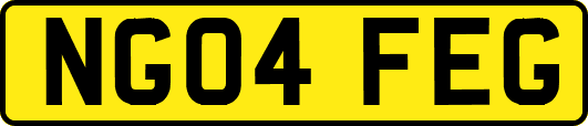 NG04FEG