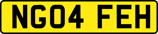 NG04FEH