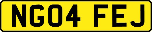 NG04FEJ