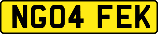 NG04FEK
