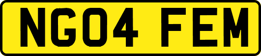 NG04FEM