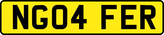 NG04FER