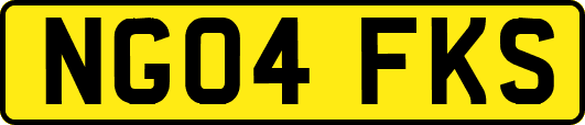 NG04FKS