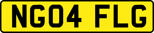 NG04FLG