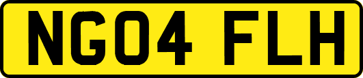 NG04FLH