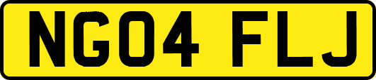 NG04FLJ