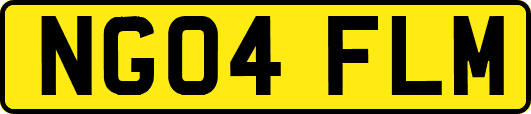 NG04FLM