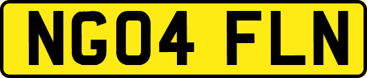 NG04FLN