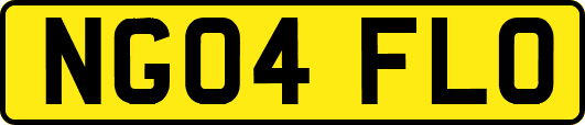 NG04FLO