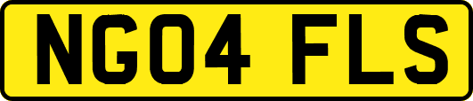 NG04FLS
