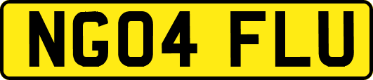 NG04FLU
