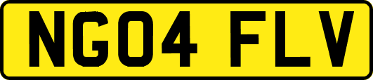 NG04FLV