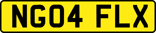 NG04FLX