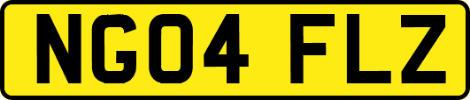 NG04FLZ