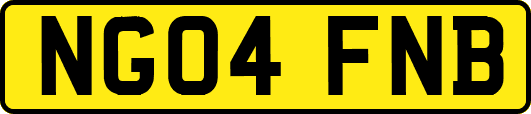 NG04FNB