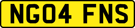 NG04FNS