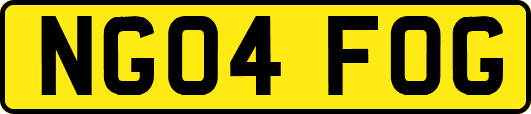 NG04FOG