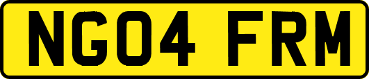 NG04FRM
