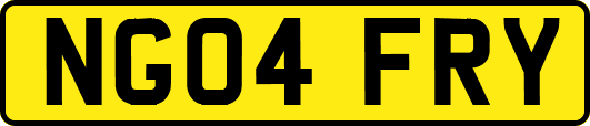 NG04FRY