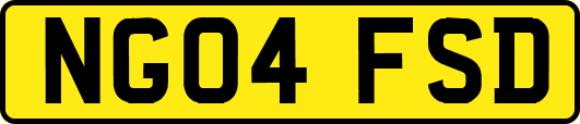 NG04FSD