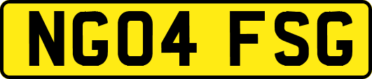 NG04FSG