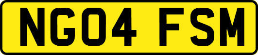 NG04FSM