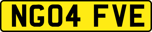 NG04FVE