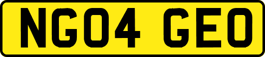 NG04GEO