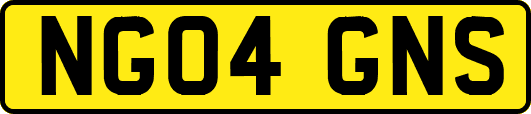 NG04GNS