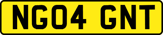 NG04GNT