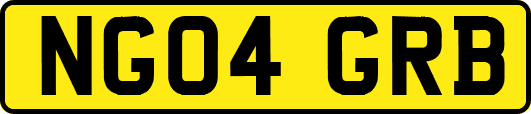 NG04GRB