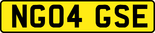 NG04GSE