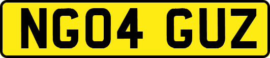 NG04GUZ