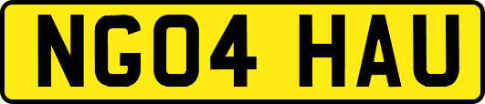 NG04HAU