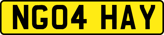 NG04HAY