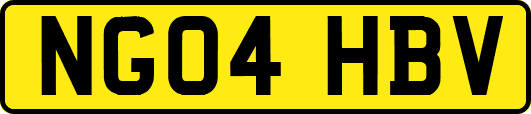 NG04HBV