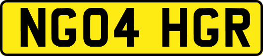 NG04HGR