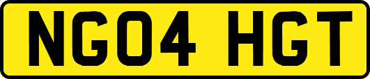 NG04HGT