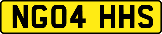 NG04HHS