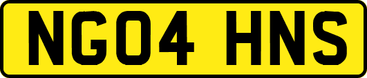 NG04HNS