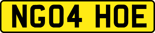 NG04HOE