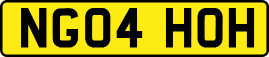 NG04HOH