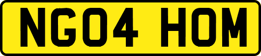 NG04HOM