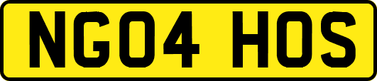 NG04HOS