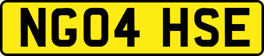 NG04HSE